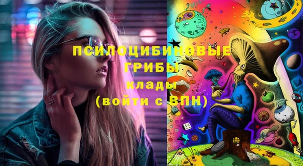 твердый Алексеевка