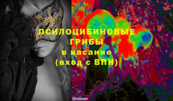 твердый Алексеевка