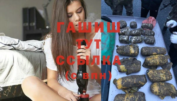 гидра Болотное