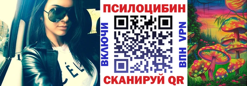 цена Харовск Галлюциногенные грибы Magic Shrooms